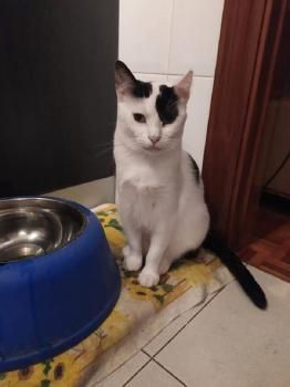 Lola und Lily, fast zahnlos