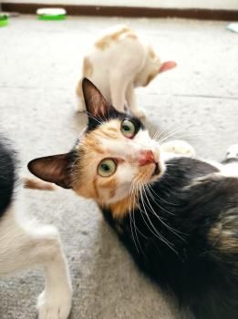 Brigitte und Kasper, Mutter und Sohn