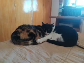 Brigitte und Kasper, Mutter und Sohn