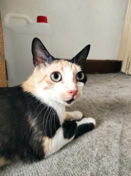 Brigitte und Kasper, Mutter und Sohn