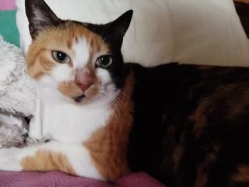 Brigitte und Kasper, Mutter und Sohn