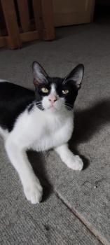 Brigitte und Kasper, Mutter und Sohn