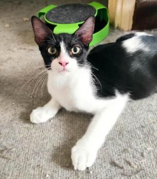 Brigitte und Kasper, Mutter und Sohn