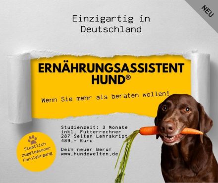 Ernährungsassistent Hund®