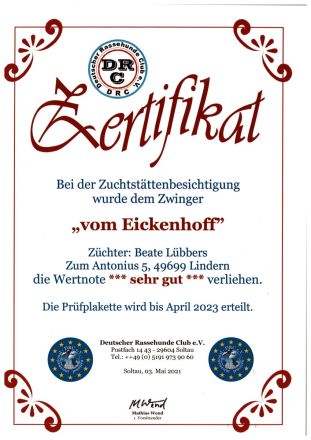 Weimaraner-Welpen aus qualifizierter Liebhaberzucht, Championsverpaarung