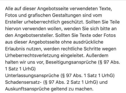 ❤ BKH Kitten, Wurfankündigung Stammbaum.❤