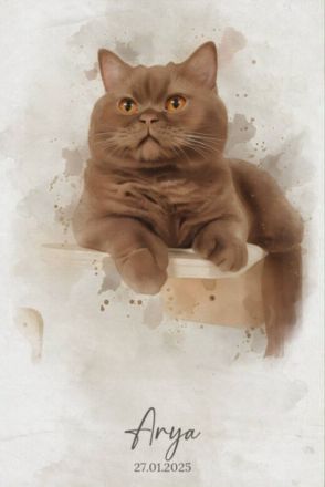 ❤ BKH Kitten, cinnamon, Wurfankündigung Stammbaum.❤