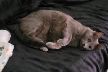 Duende und Titino, Mutter und Sohn