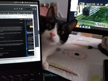 Duende und Titino, Mutter und Sohn