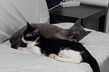 Duende und Titino, Mutter und Sohn