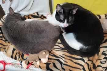 Duende und Titino, Mutter und Sohn