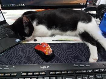 Duende und Titino, Mutter und Sohn