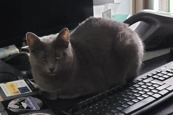 Duende und Titino, Mutter und Sohn