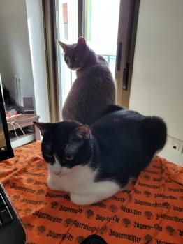 Duende und Titino, Mutter und Sohn