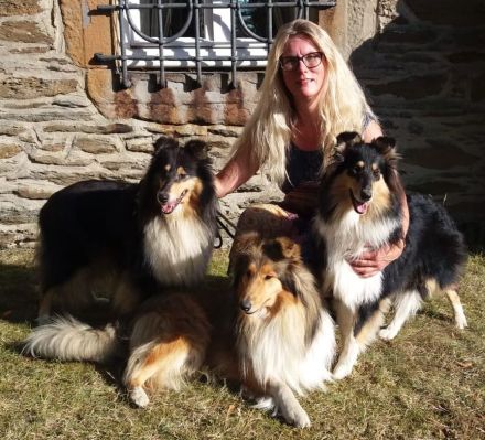 Collie-Langhaar Welpen aus Liebhaberzucht