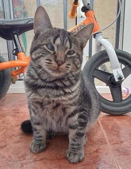 Halle und Umi (auf einem Auge blind)