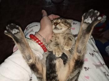 Halle und Umi (auf einem Auge blind)