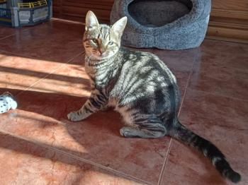 Halle und Umi (auf einem Auge blind)