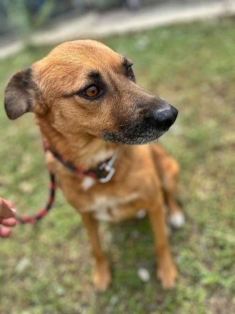 Stevie, sehr freundlich und lieb