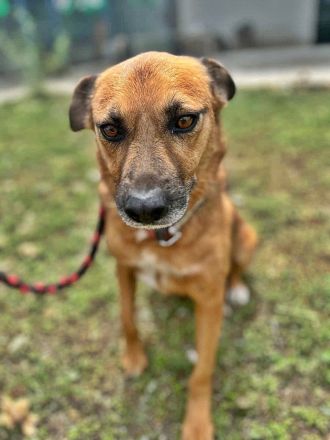 Stevie, sehr freundlich und lieb