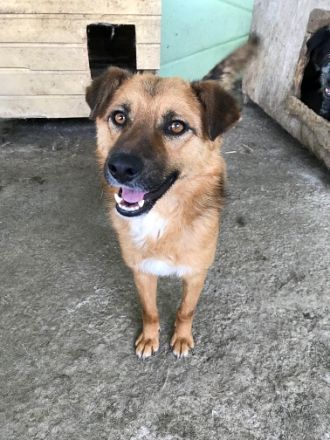 Stevie, sehr freundlich und lieb