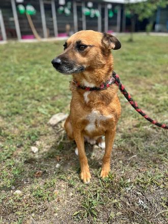 Stevie, sehr freundlich und lieb