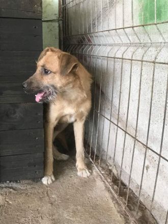 Ella, freundlich, lieb, aber ängstlich gegenüber Fremden