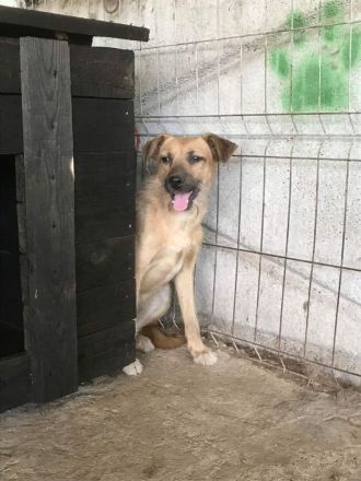 Ella, freundlich, lieb, aber ängstlich gegenüber Fremden