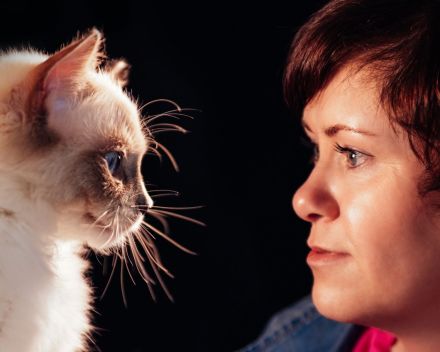 Cattery von Chawerim
