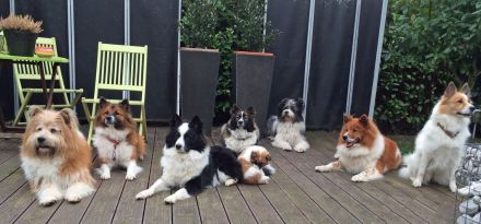 Elo®-Treffen auf dem Campingplatz im Eichenwald in Mittelhof