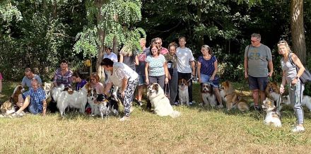 Elo®-Treffen auf dem Campingplatz im Eichenwald in Mittelhof