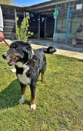 Jack sucht einen Gnadenplatz
