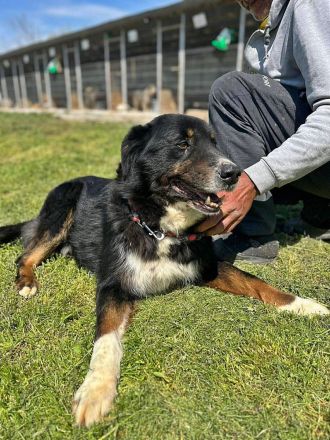 Jack sucht einen Gnadenplatz