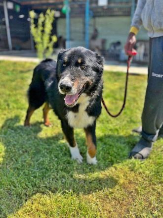 Jack sucht einen Gnadenplatz