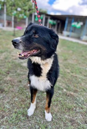 Jack sucht einen Gnadenplatz