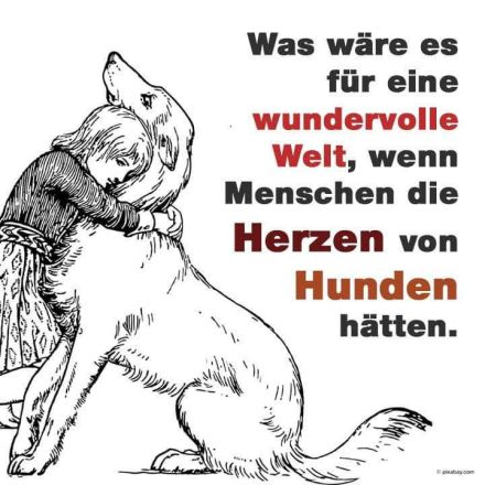 Frankfurter Fellnasen die Hundetagesstätte für Kleine Hunde