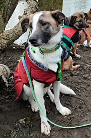 Soul, auf Pflege in Bad Endbach