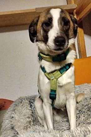 Soul, auf Pflege in Bad Endbach