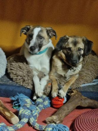 Soul, auf Pflege in Bad Endbach