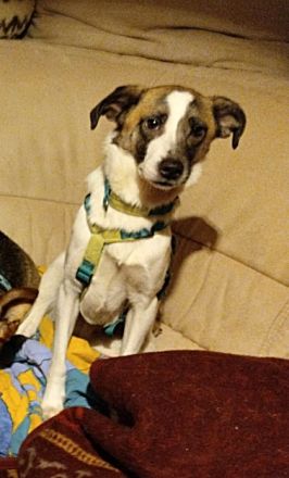 Soul, auf Pflege in Bad Endbach