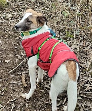 Soul, auf Pflege in Bad Endbach