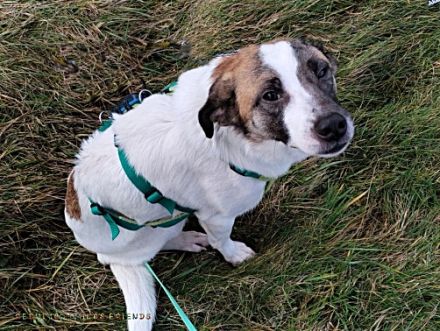 Soul, auf Pflege in Bad Endbach