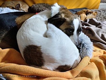 Soul, auf Pflege in Bad Endbach