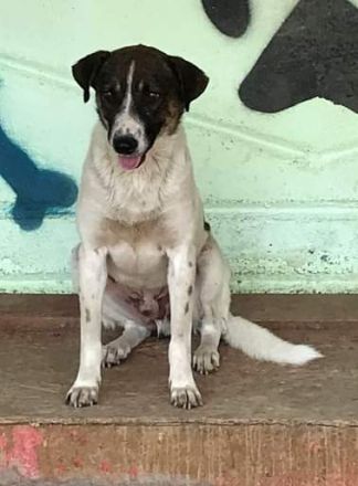 Luke, freundlich aber sehr ängstlich