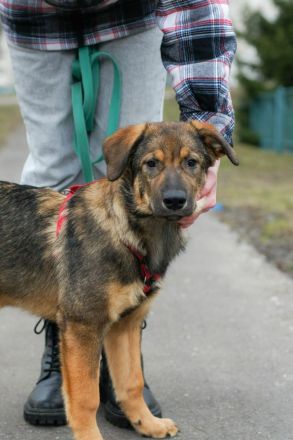 Lilith sucht liebevolle Familie