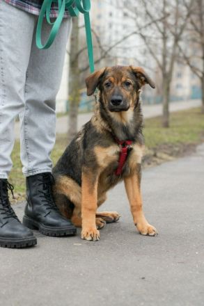 Lilith sucht liebevolle Familie