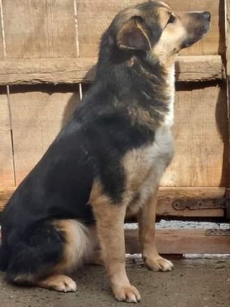 Randy, zurückhaltend und scheu/Erfahrung nötig