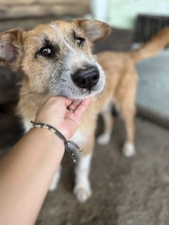 Charly, lieb und sozial