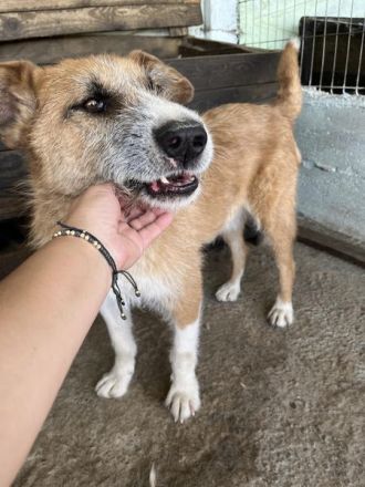 Charly, lieb und sozial