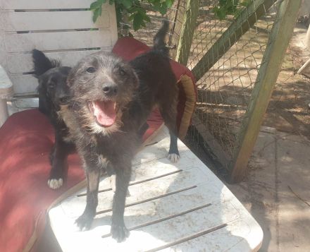 Leadsängerin sucht Band